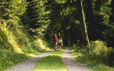 Kopf frei kriegen – so wirkt ein therapeutischer Spaziergang