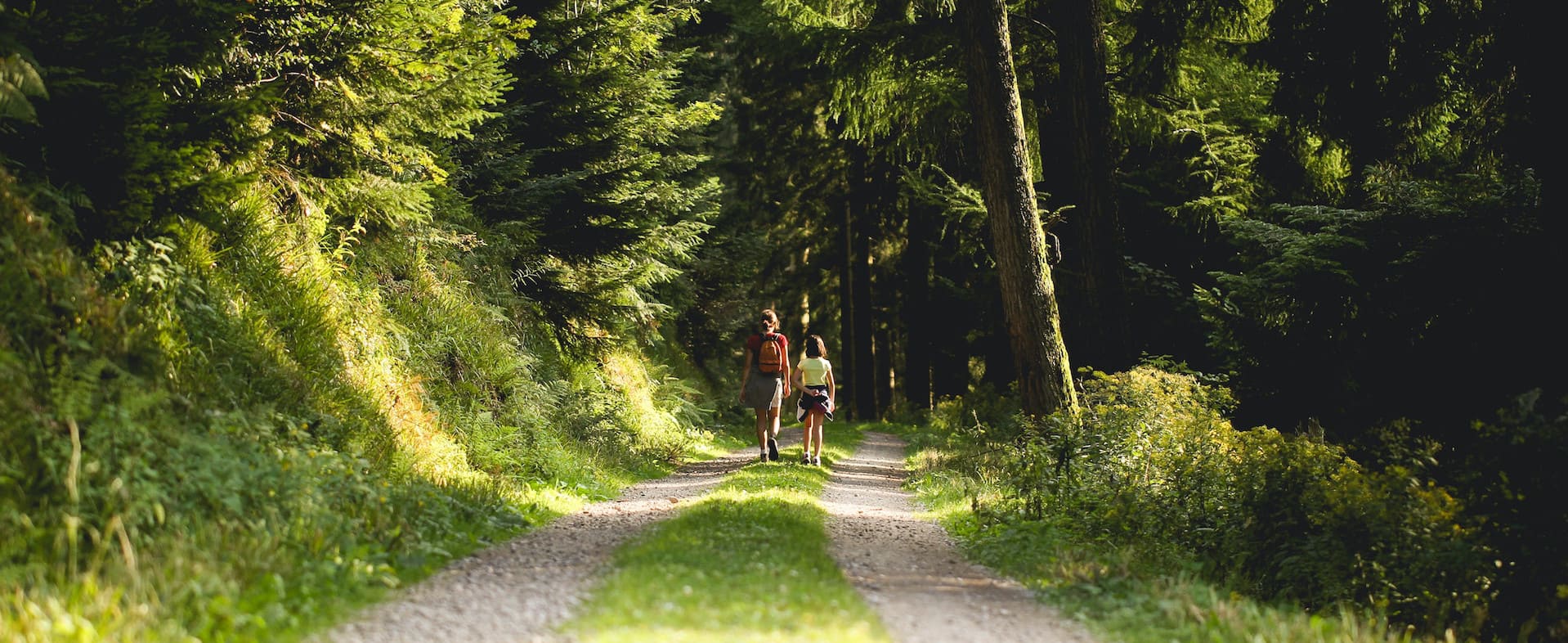 Kopf freikriegen_Blog_Andrea vorm Walde